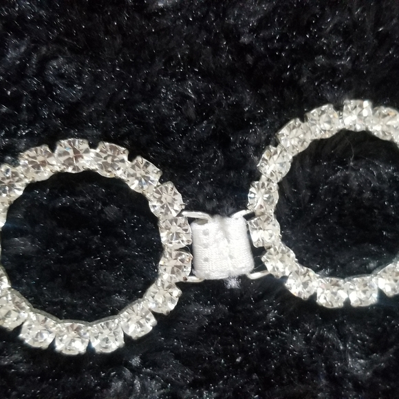 Custom Competition Bikini - Picture 4 of 5